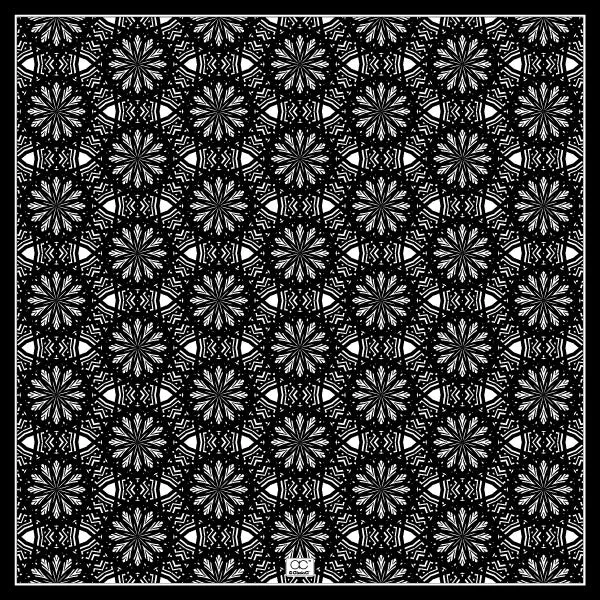 ASTER Mandala Designer 100% Silk Scarf in Black White