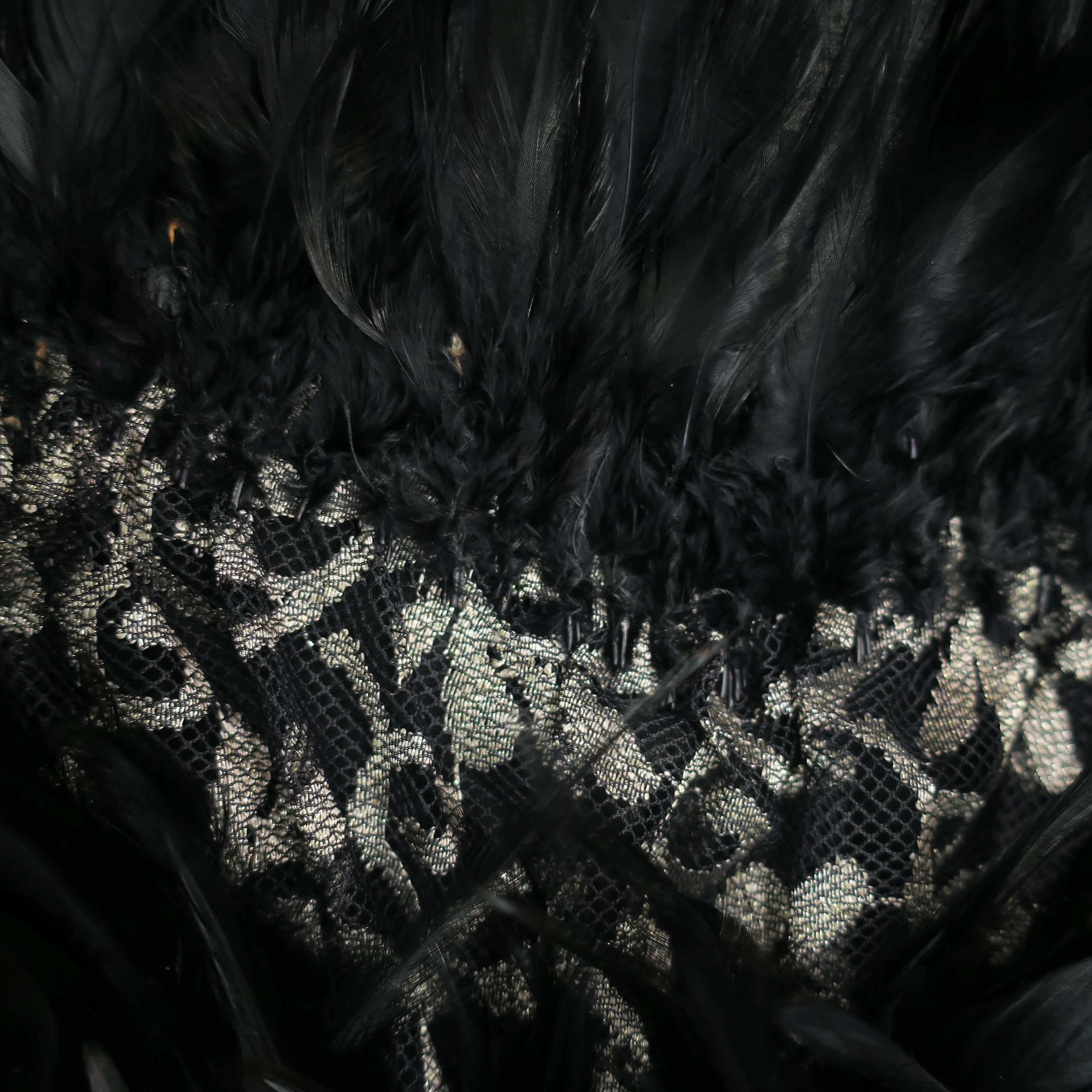 Black Feathered on Gold Laced Embroidered Fashion Fabric