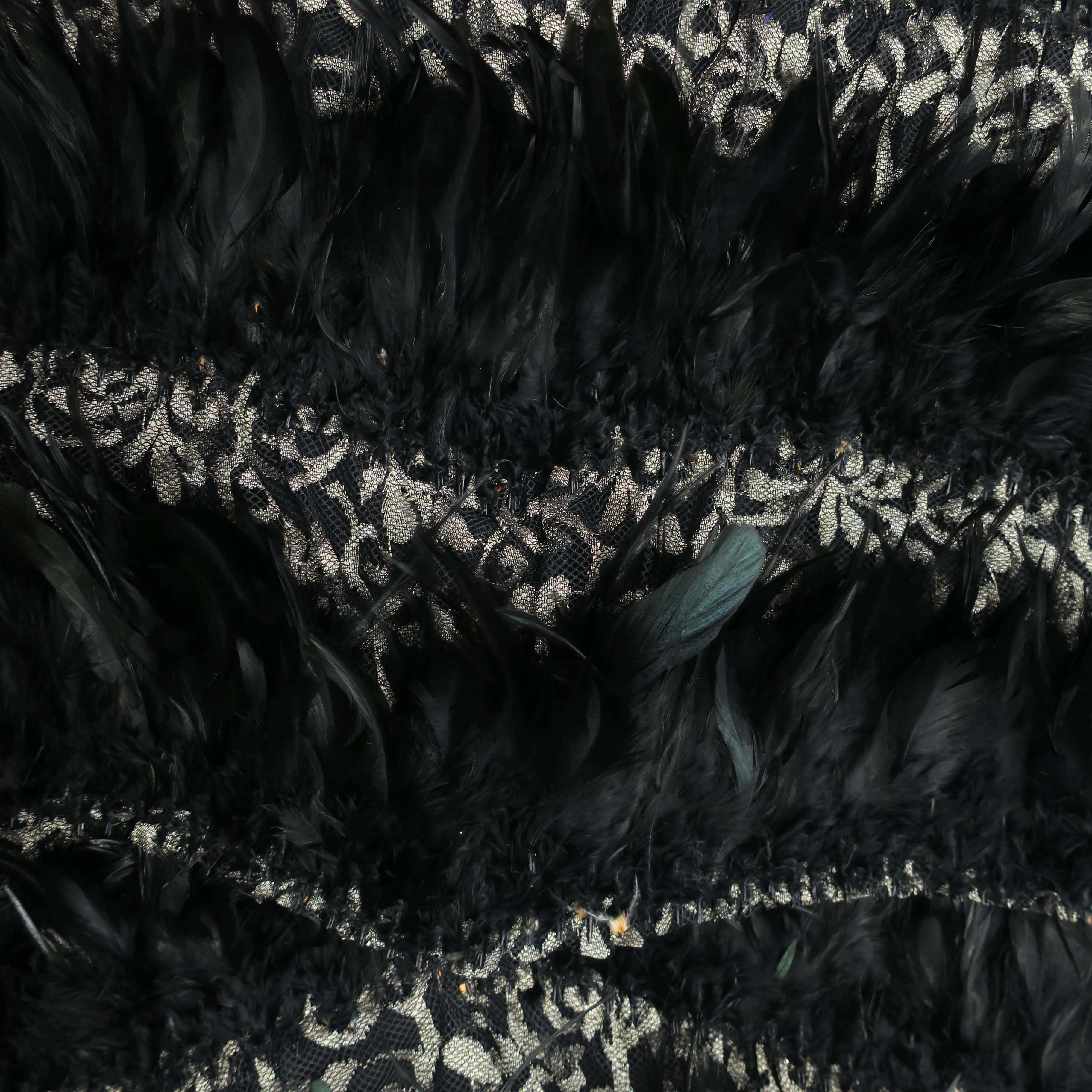 Black Feathered on Gold Laced Embroidered Fashion Fabric