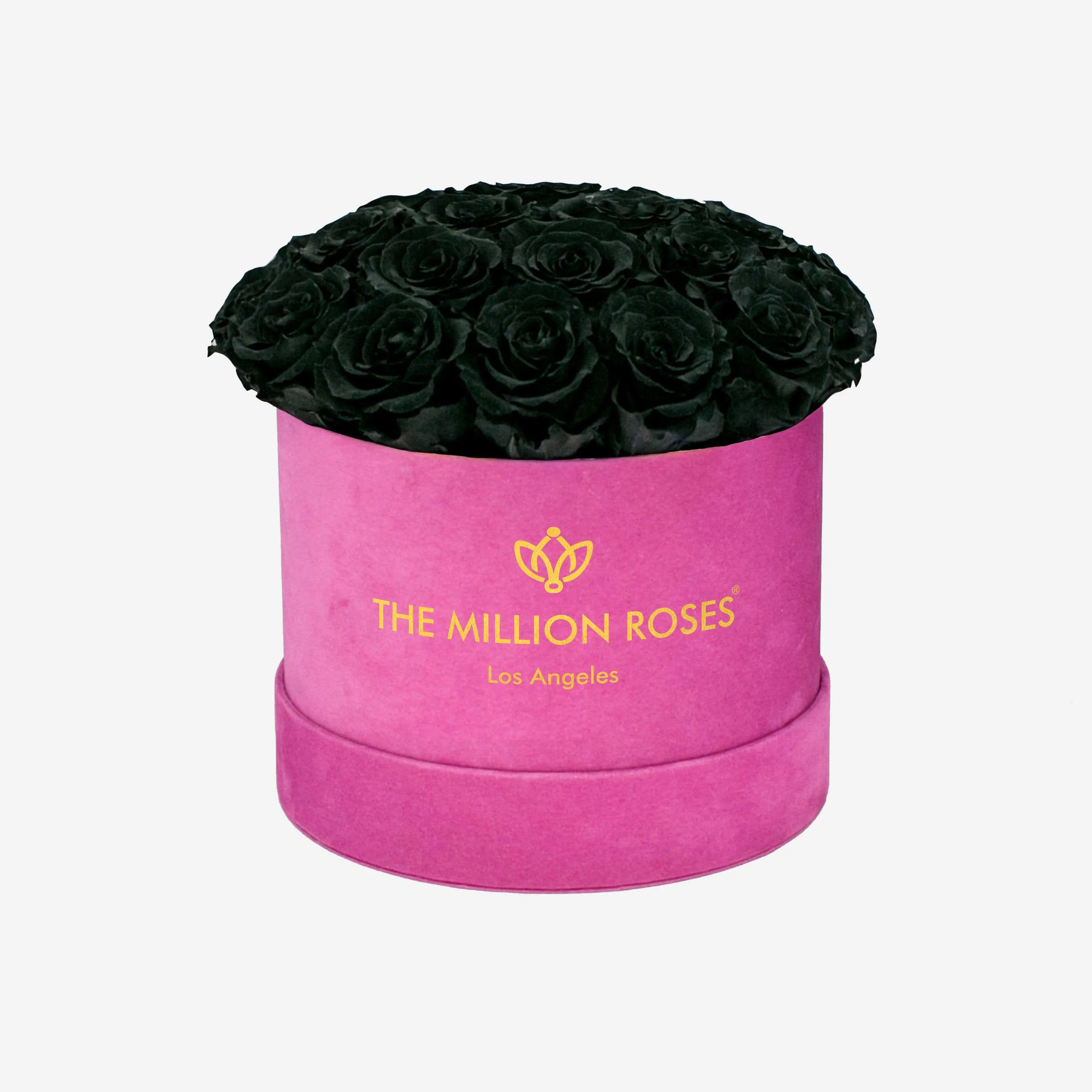 Classic Dome Hot Pink Suede Box | Black Roses